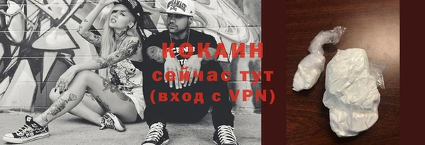 мдпв Верхний Тагил