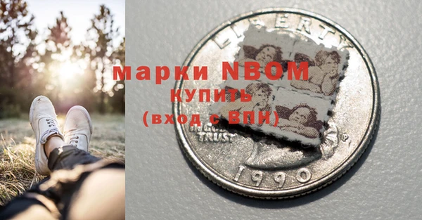 мдпв Верхний Тагил