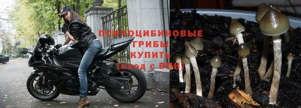 бошки Верея