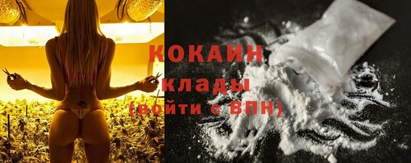 бошки Верея