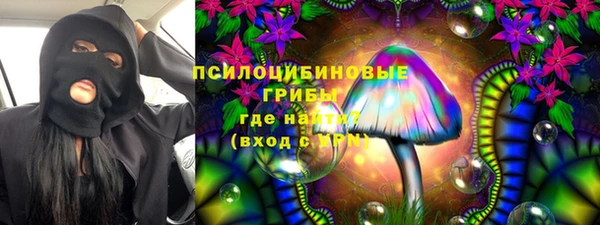 бошки Верея