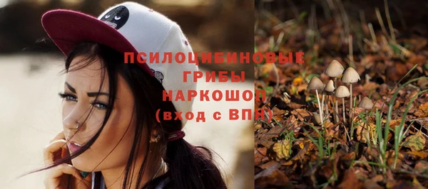 spice Волосово